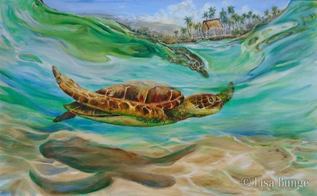 Big Island honu underwater