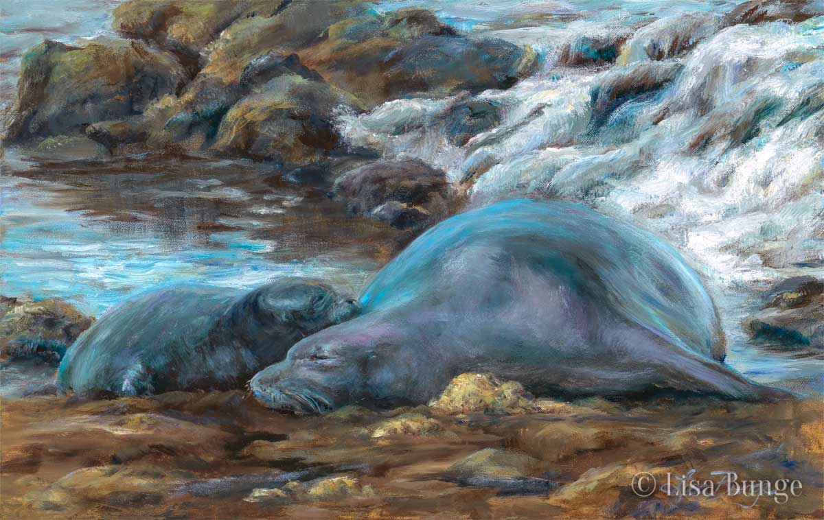 An endangered Hawaiian monk seal and baby