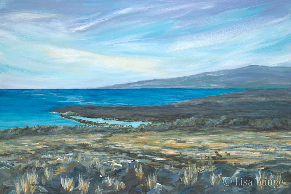 Views of Kiholo Bay, on Hawaii's Big Island