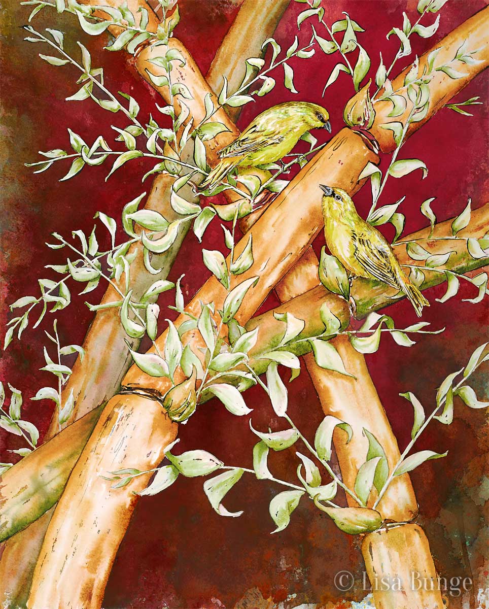 Yellow tropical birds in bamboo