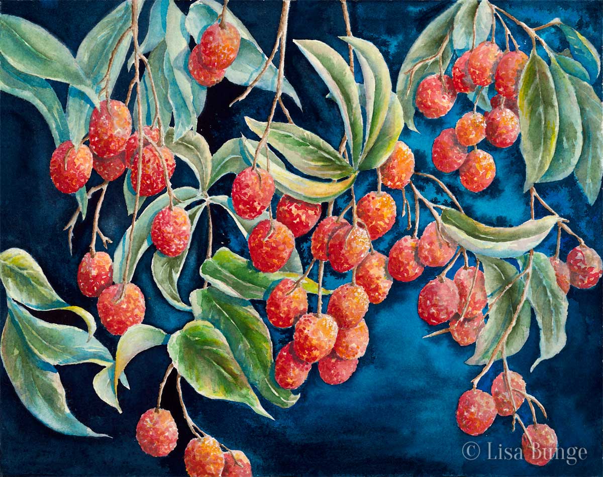 Lychee hang from a tree in this painting