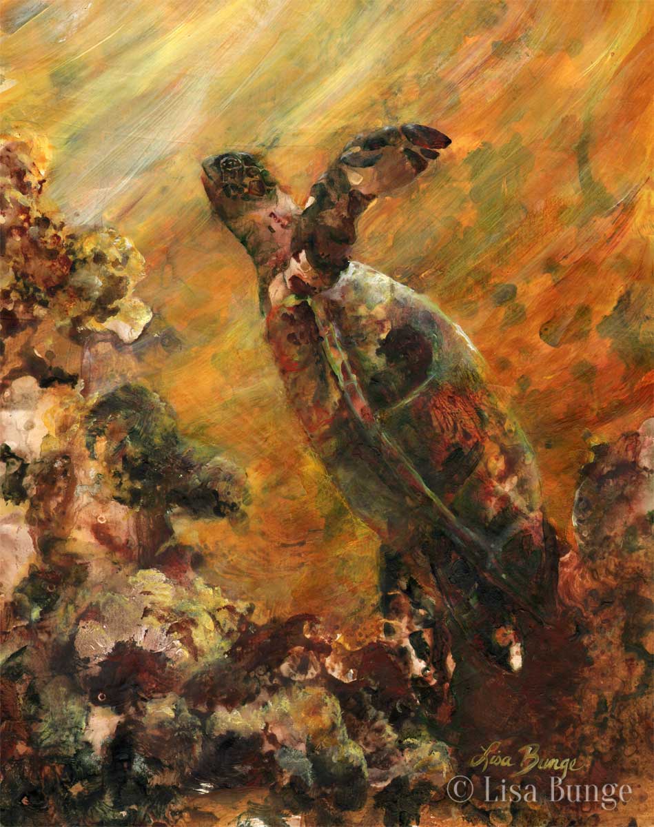 An endangered Hawaiian sea turtle