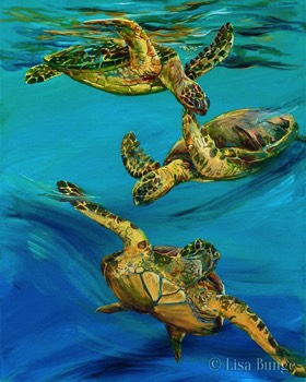 Flight of the Honu